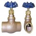 Brass globe valves