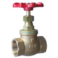  screw Globe valve 